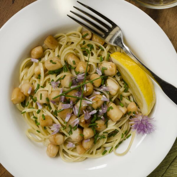 Sea Best Bay Scallops, 16 Ounce